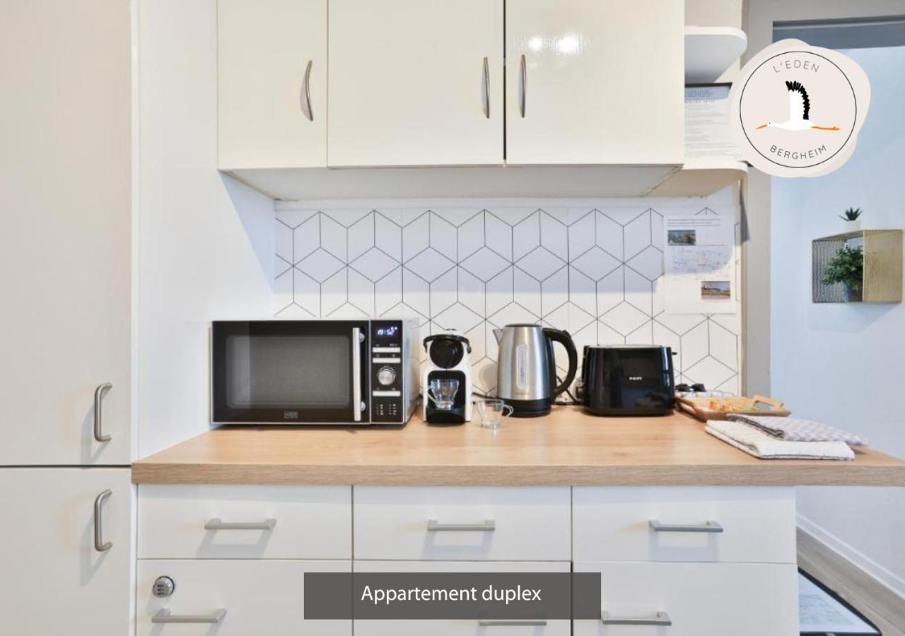 Appartements Duplex 3 Et 4 Personnes - Climatisation - Village Elu Parmi Les "Plus Beaux Villages De France" - Route Des Vins - Centre Alsace Bergheim Kültér fotó