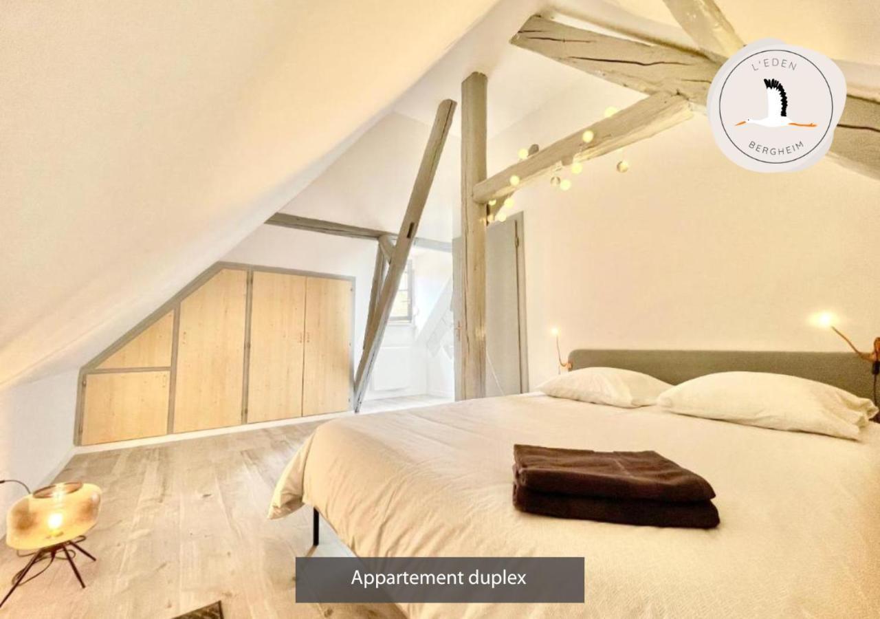 Appartements Duplex 3 Et 4 Personnes - Climatisation - Village Elu Parmi Les "Plus Beaux Villages De France" - Route Des Vins - Centre Alsace Bergheim Kültér fotó