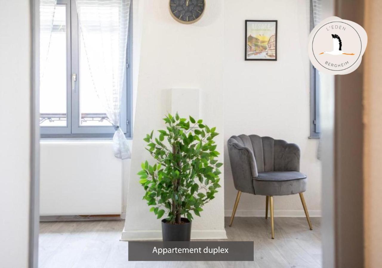 Appartements Duplex 3 Et 4 Personnes - Climatisation - Village Elu Parmi Les "Plus Beaux Villages De France" - Route Des Vins - Centre Alsace Bergheim Kültér fotó