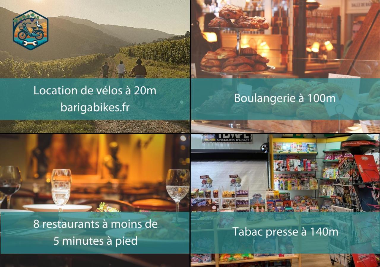 Appartements Duplex 3 Et 4 Personnes - Climatisation - Village Elu Parmi Les "Plus Beaux Villages De France" - Route Des Vins - Centre Alsace Bergheim Kültér fotó